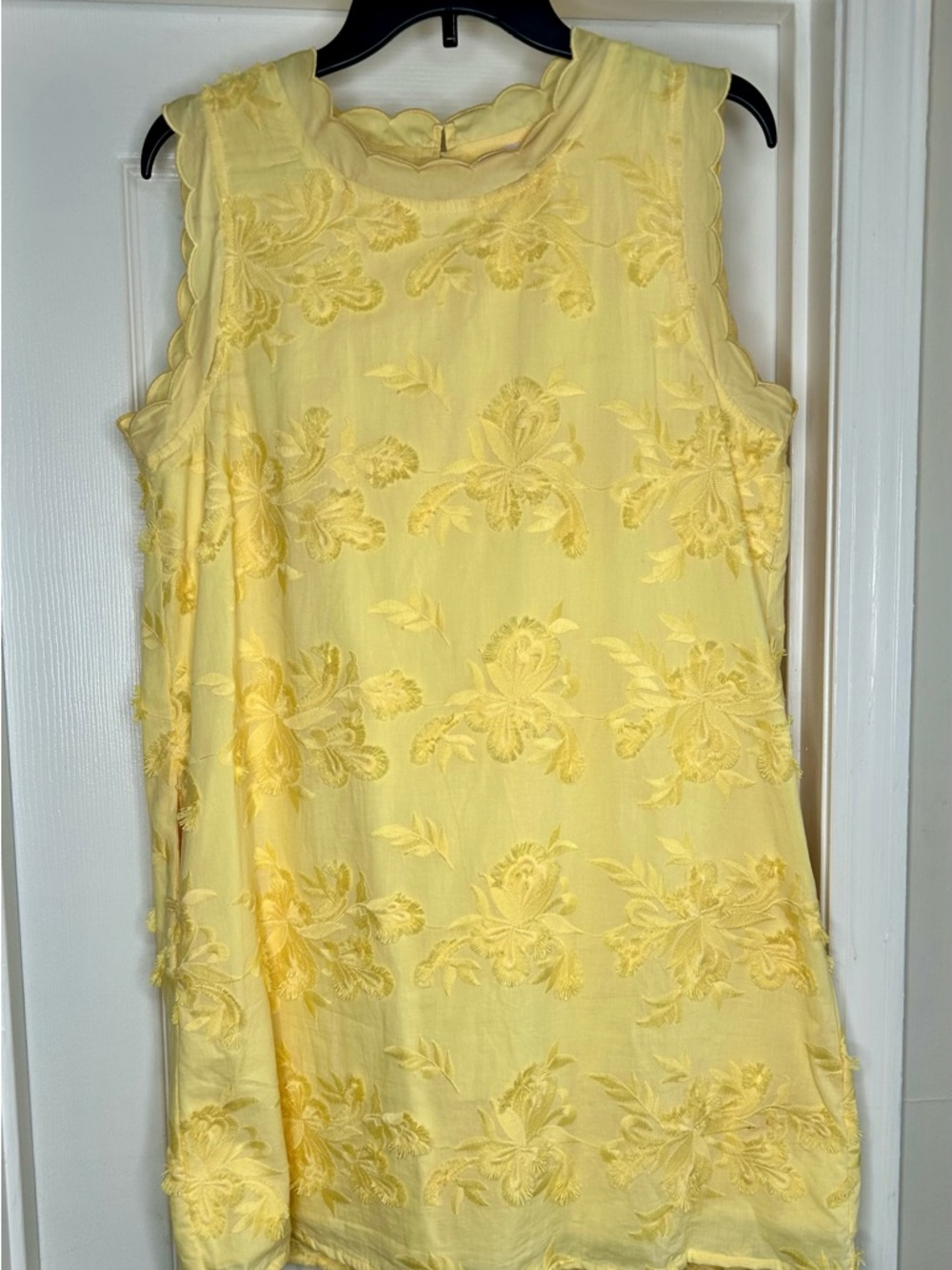 Entro Embroidered Mini Dress - Picture 4 of 6